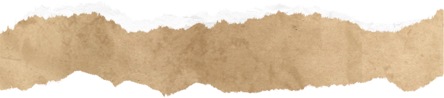 Brown Torn Paper